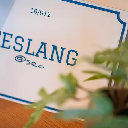 Teslang At Sea